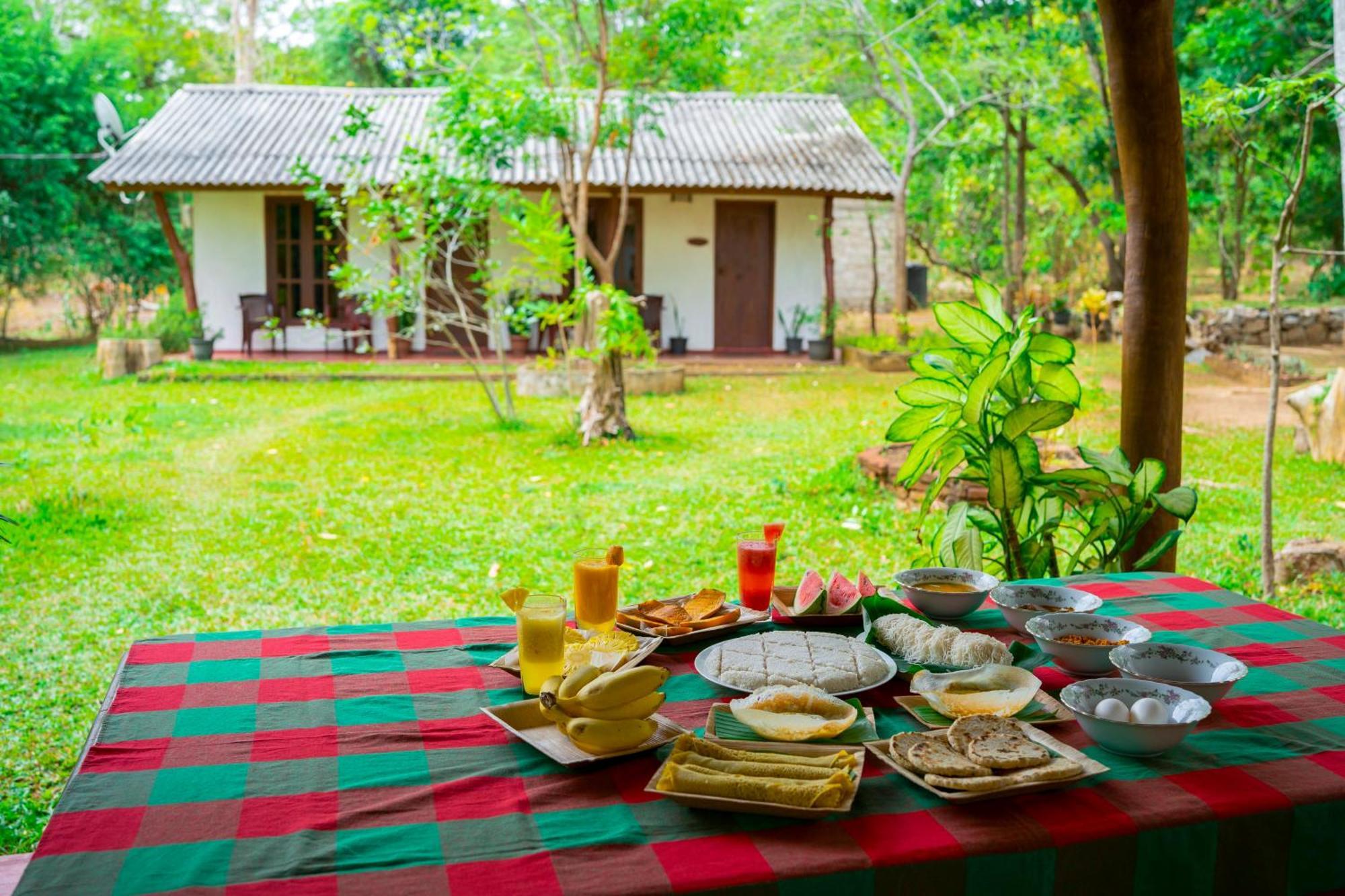Wild Hut Habarana B&B 외부 사진
