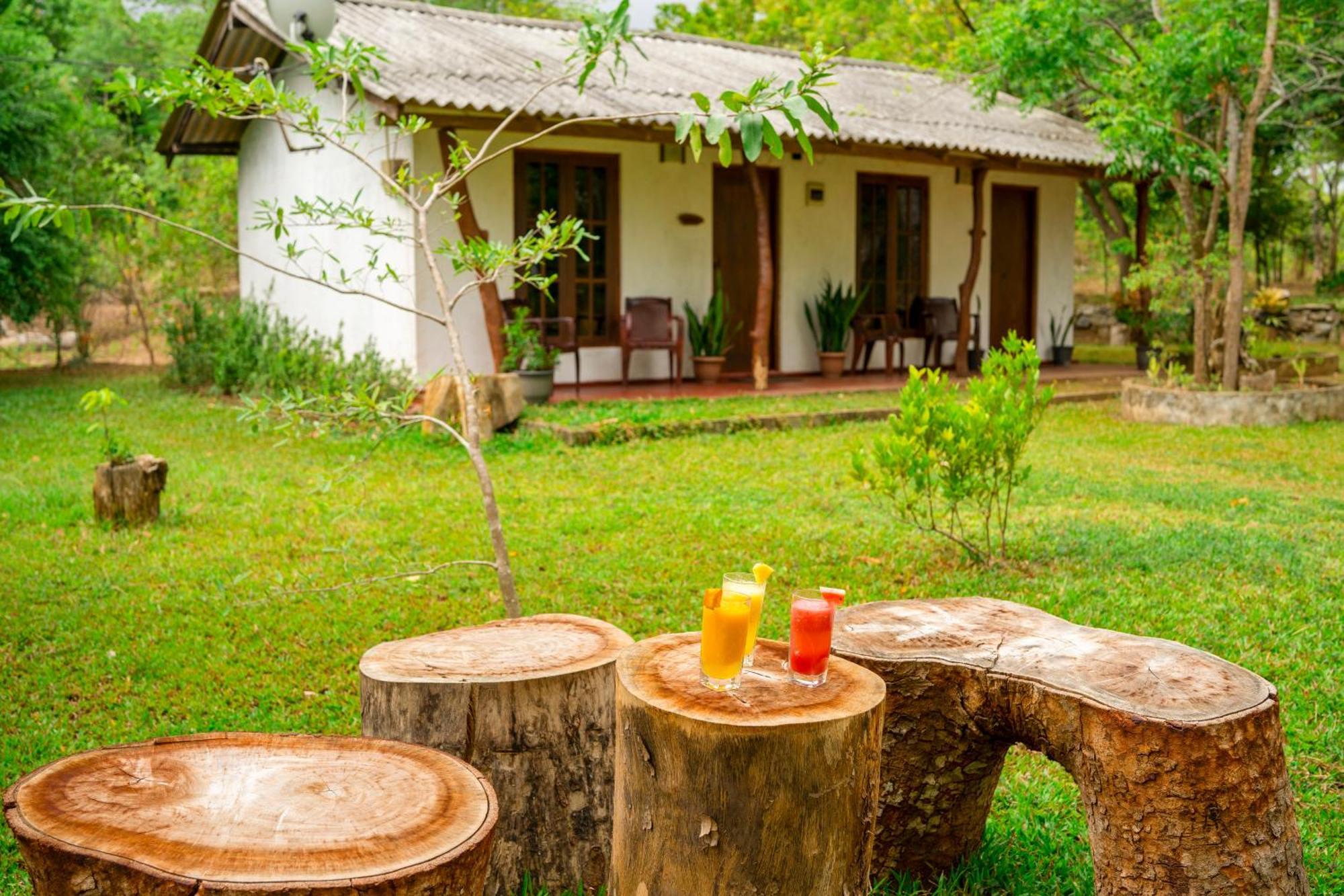 Wild Hut Habarana B&B 외부 사진