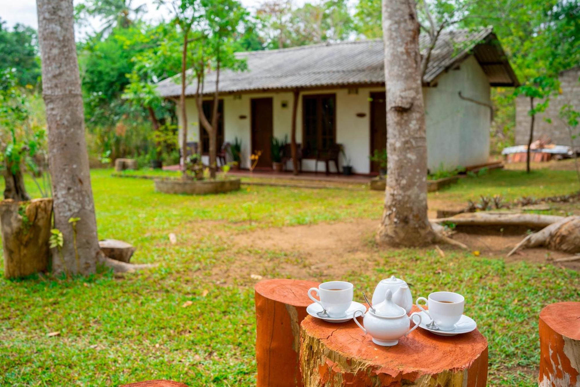 Wild Hut Habarana B&B 외부 사진