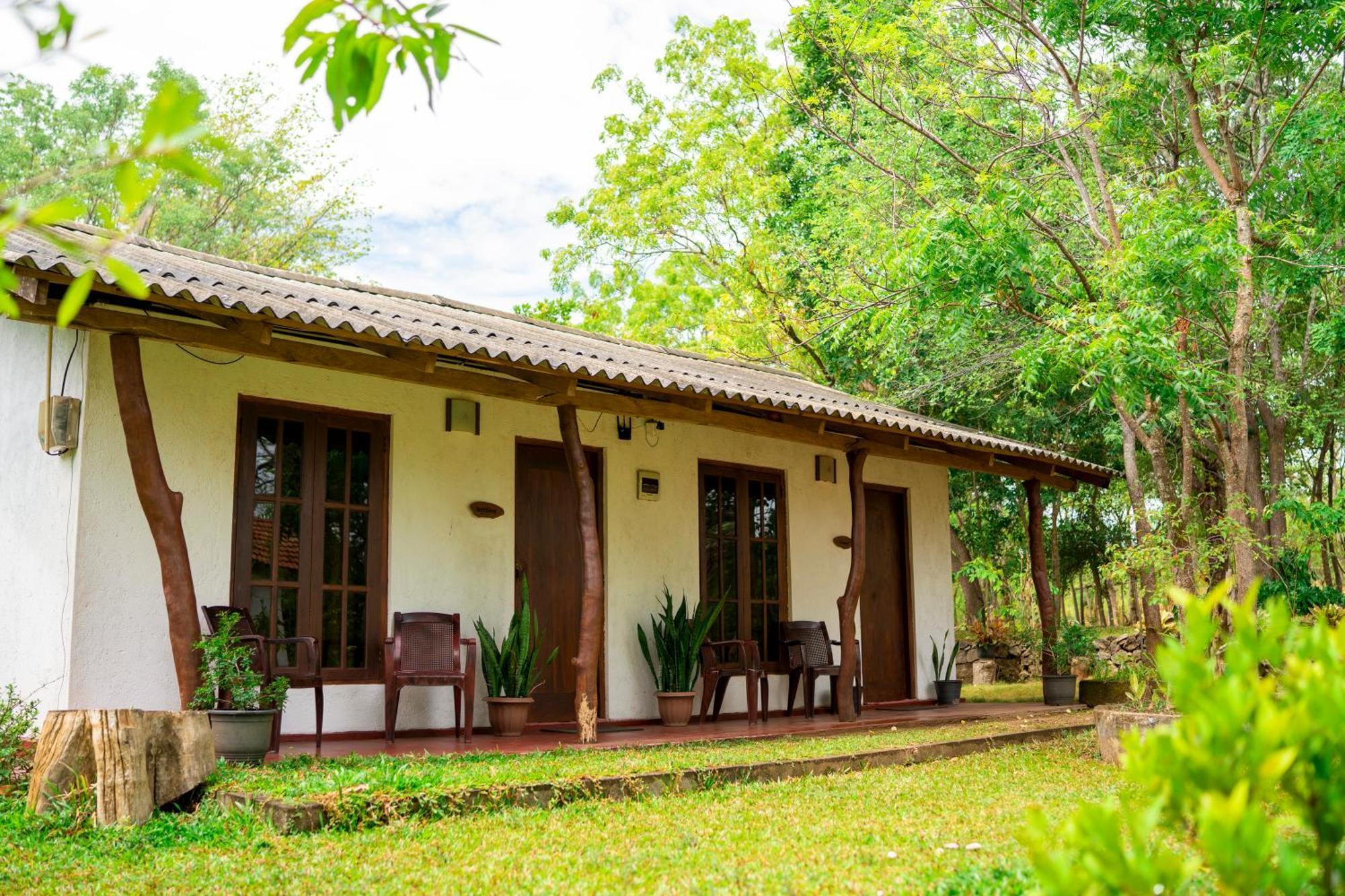 Wild Hut Habarana B&B 외부 사진