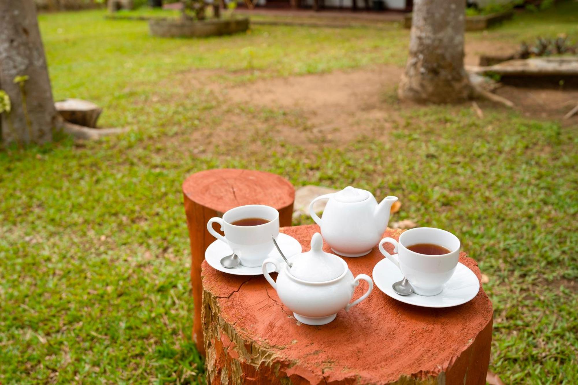 Wild Hut Habarana B&B 외부 사진